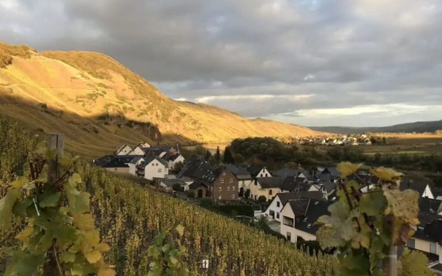 Uitzicht op de Moezel in Urzig