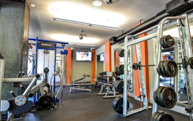 Plano Dreamy Studio Apartment