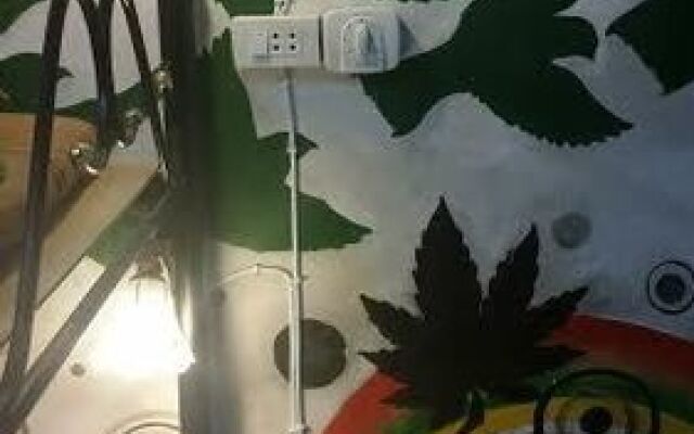 The Moatview Guesthouse