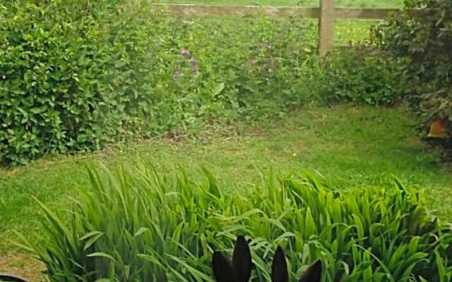 Rose Vean Bed & Breakfast