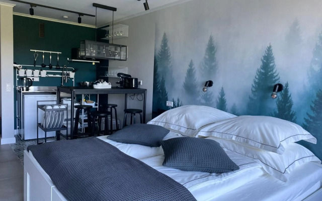 Schwarzwald Wohnung Kniebis