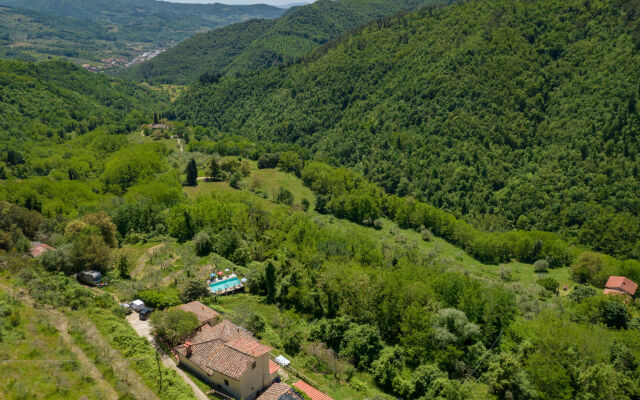 Locazione turistica Il Castagneto