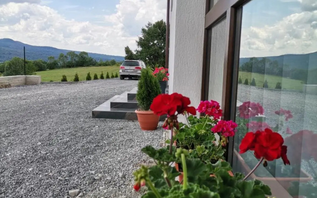 Vila President Sovata