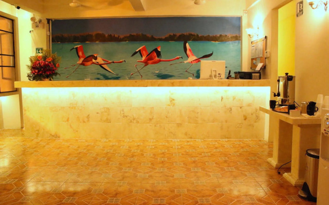 Hostal Catedral - Adults Only