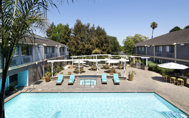 Maple Tree Inn