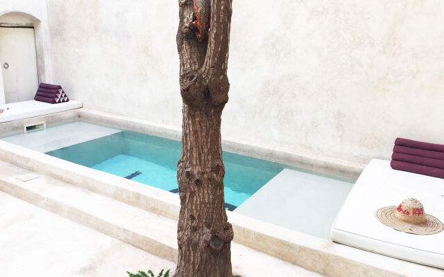Riad 144