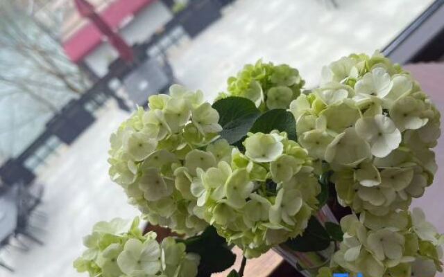 Yangxin Xiandao Lake Lihu Maple Moon Homestay