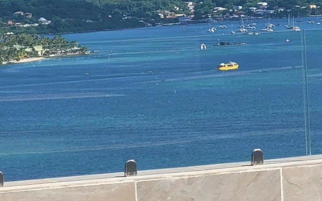 Villa Independante Magnifique Vue Mer Des Caraibes