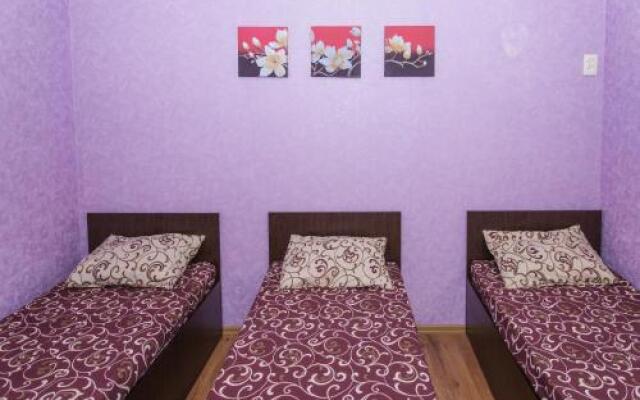 V Aleksino Guest house