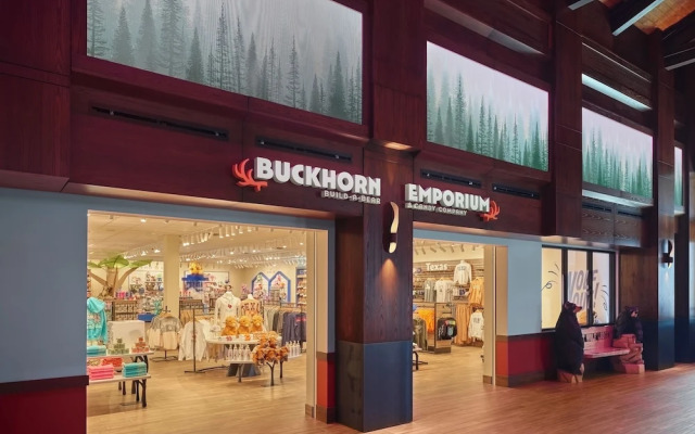 Great Wolf Lodge Webster