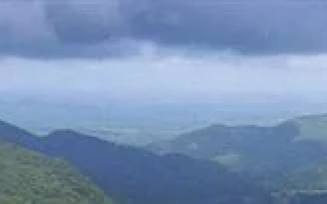 Wildernest Nature Resort