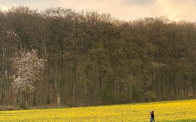 Appartement Osso Arnhem