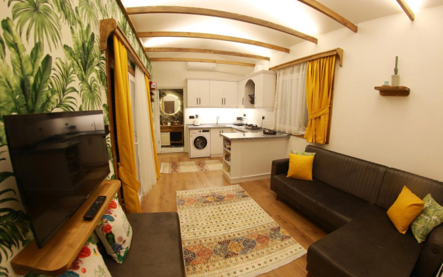 Tiny House Echino söğüt