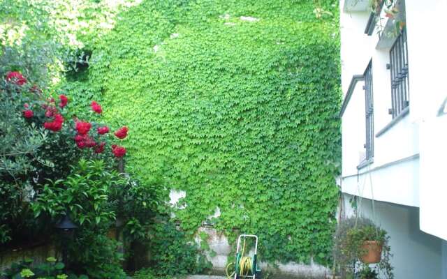 B&B Certe Notti