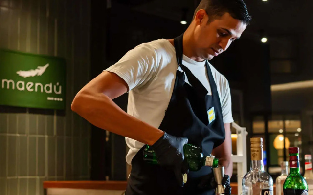 Ibis Styles Maragogi