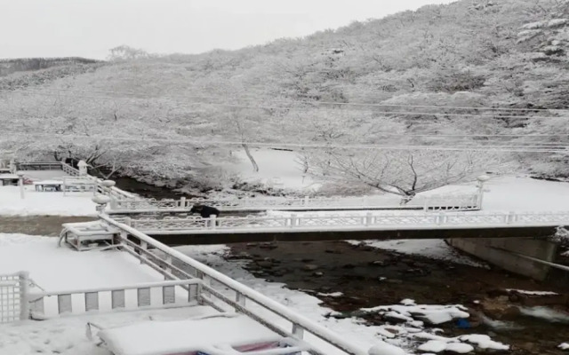 Hongcheon Bandi's Herb Pension