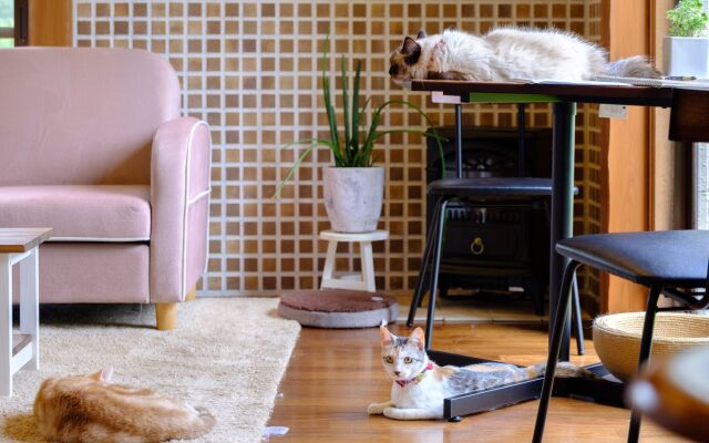 Yufuin Waraneko no Yado