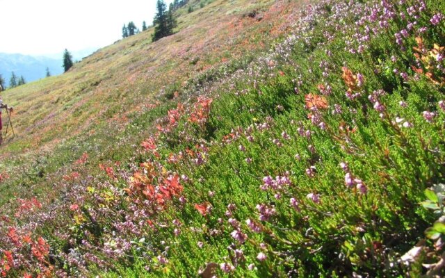 Ferienwohnung Plattner