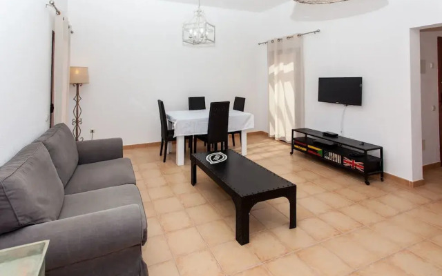 Anahi Home Dracaena 4