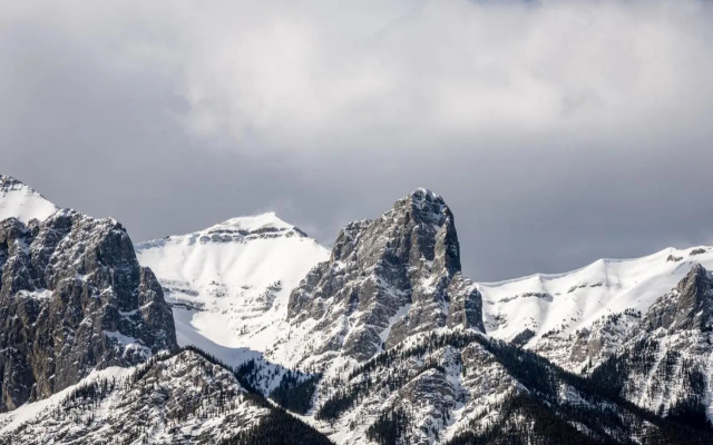 The Norquay, Pet-Friendly 2 Bed with Mtn View