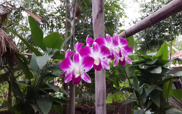 Malita Angkor Villa