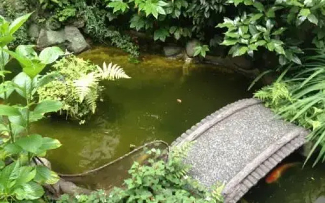 Ryokan Maizuru