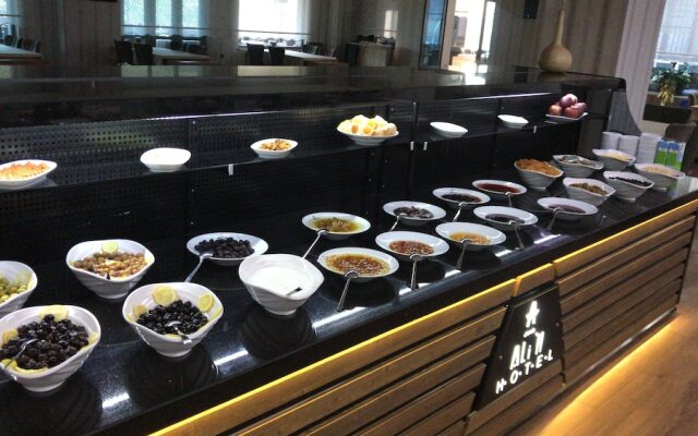Grand Alin Hotel Tokat