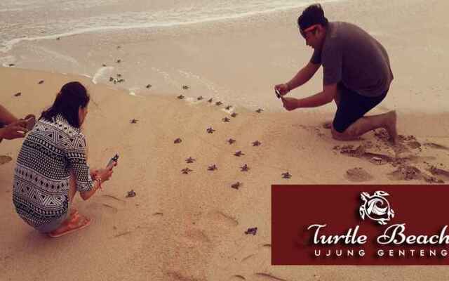 Turtle Beach Hotel