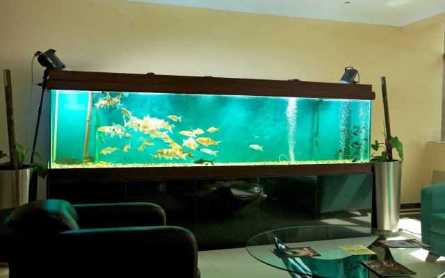 Tanzanite Executive Suites