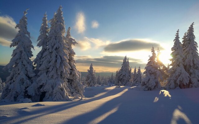 Cihlarka Mountain View Apartment