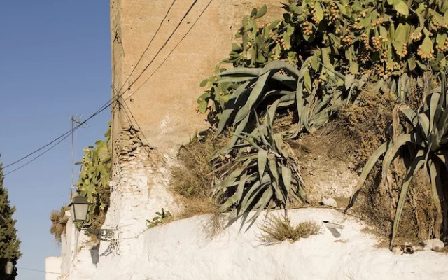 Cueva de la Muralla - Sacromonte