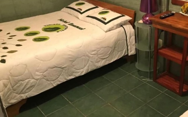 Hotel Emanuel