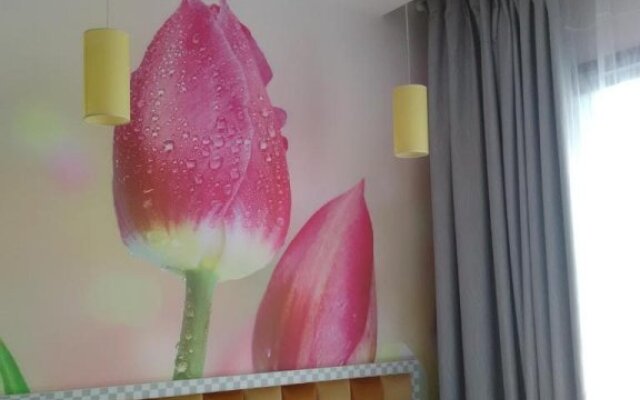 Twelve Months Fashion Hotel