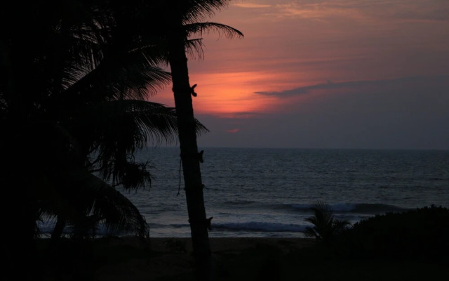Whispering Ocean
