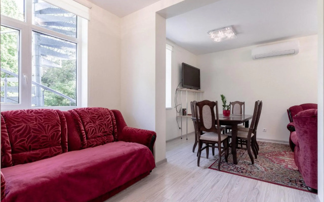 Basanavičiaus street apartaments with view No 1