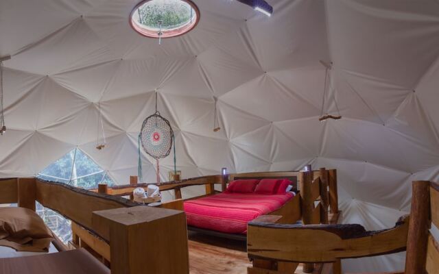 Cabanas Ensenada Bosque Nativo