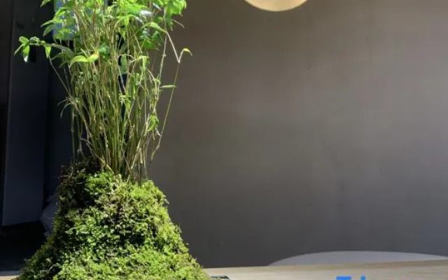 Qixin Bieyuan Boutique Hostel