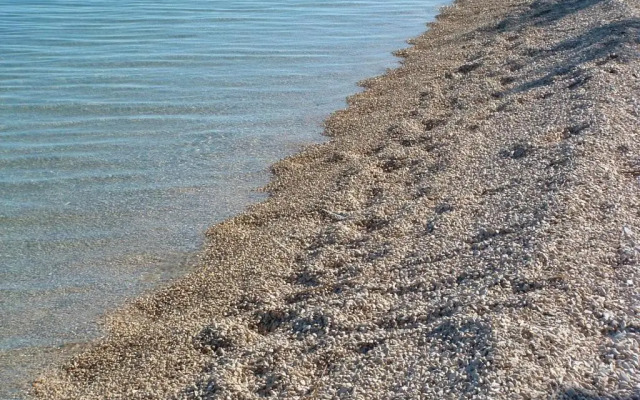 Apartments Smokvica I