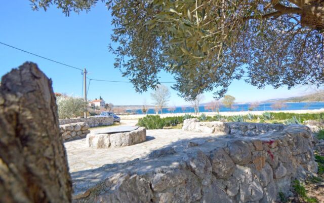 House Palma Novigrad (Zadar) 38646