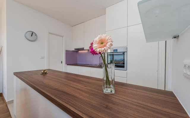 Penthouse with roof terrace