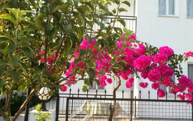 Tavilogullari Villa Apart