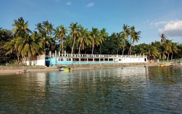 The Pelicans Castaway