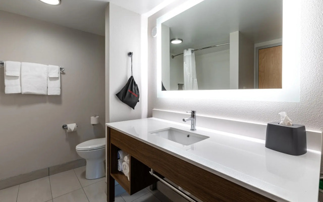 Holiday Inn Express & Suites Asheville Downtown by IHG