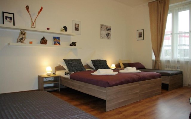 Spacious Prague View Apartment