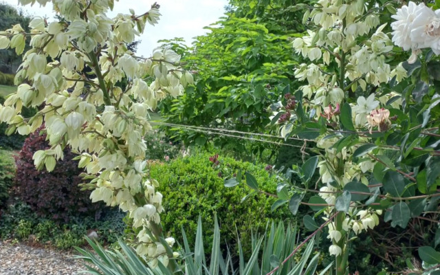 Paradise villa apartment