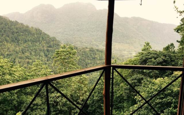 The Tree House