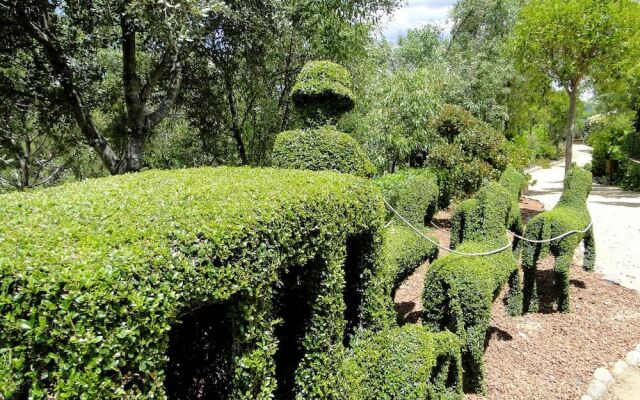 A Orillas Del Lago