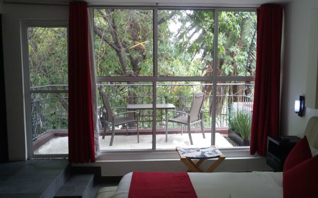 Collection O Casa Anzures Thematic, Mexico City