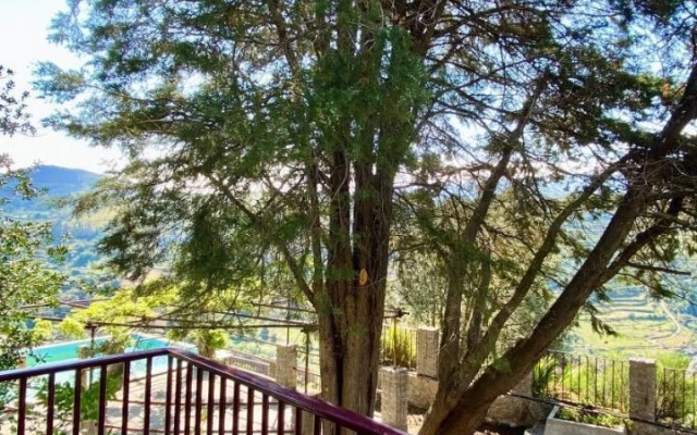 Private Douro- Quinta das Susandas