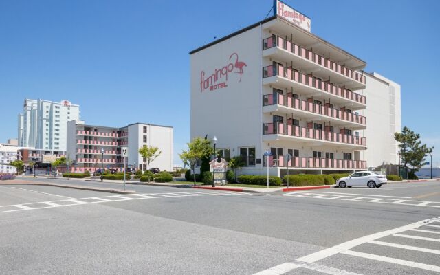 Flamingo Motel